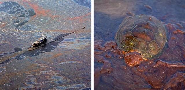 A huge oil spot has formed as a result of an explosion of an oil platform in 2010.Every year, more than 12 million tons of oil get dumped into the world’s oceans. It happens due to the leakage of oil from damaged wells and tankers. About 25% of seawater is covered with a layer of oil varying in thickness. In 2010, an explosion of The Deepwater Horizon oil platform resulted in the leakage of 1000 tons of oil into the ocean. The British Petroleum company has spent billions of dollars to eliminate the substance but despite all efforts, they could only remove 75% of the combustible substance.