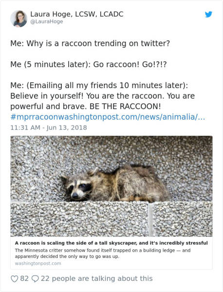 Crazy Raccoon Climbs A Skyscraper And Becomes An Internet Hero
