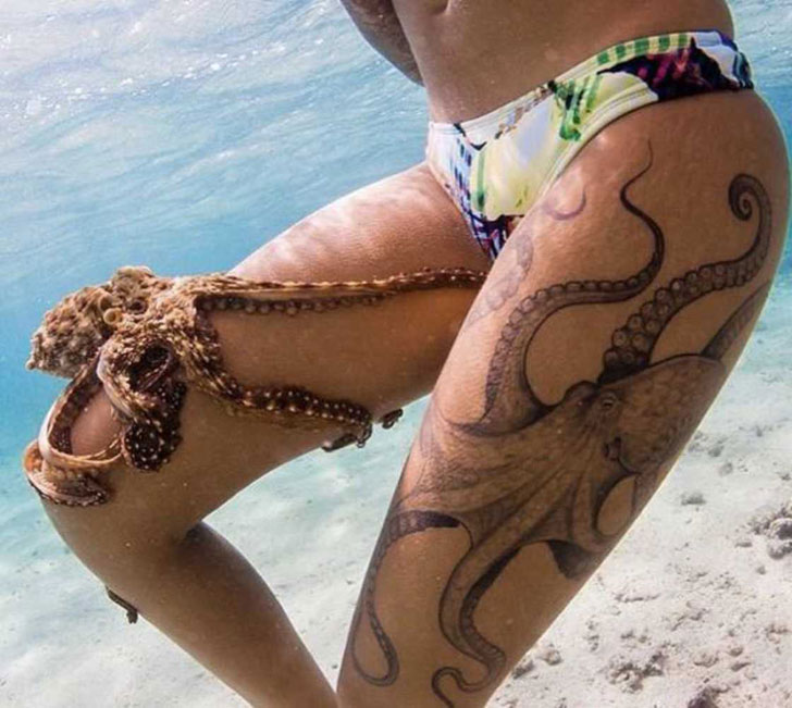 person with octopus tattoo and also a real octopus on the other leg while under water