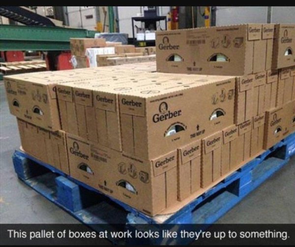 box pareidolia - Gerber Gerber Gerber This pallet of boxes at work looks they're up to something,