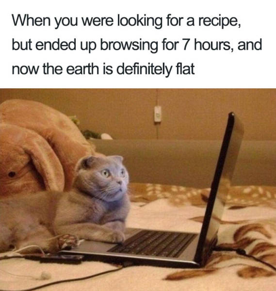earth is flat memes - When you were looking for a recipe, but ended up browsing for 7 hours, and now the earth is definitely flat