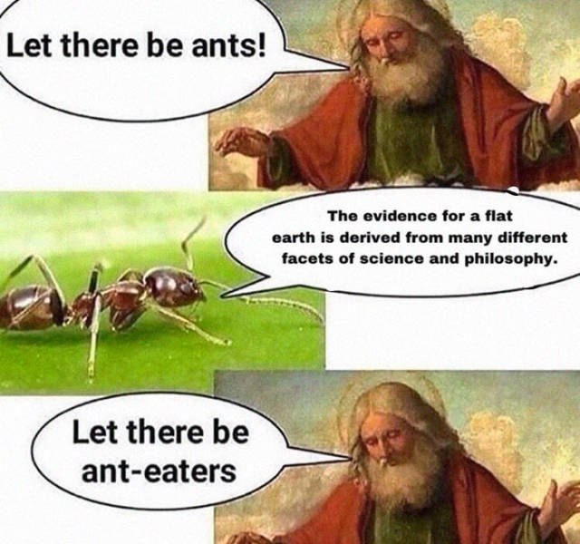 flat earth memes - Let there be ants! The evidence for a flat earth is derived from many different facets of science and philosophy. Let there be anteaters
