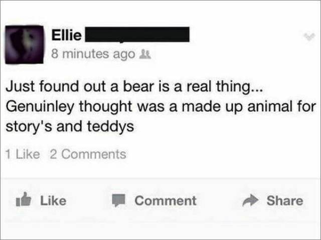 facebook fails 2017 - Ellie 8 minutes ago Just found out a bear is a real thing... Genuinley thought was a made up animal for story's and teddys 1 2 de Comment