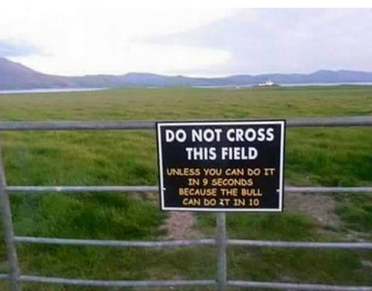 ireland funny - Do Not Cross This Field Unless You Can Do It In 9 Seconds Because The Bull Can Do It In 10