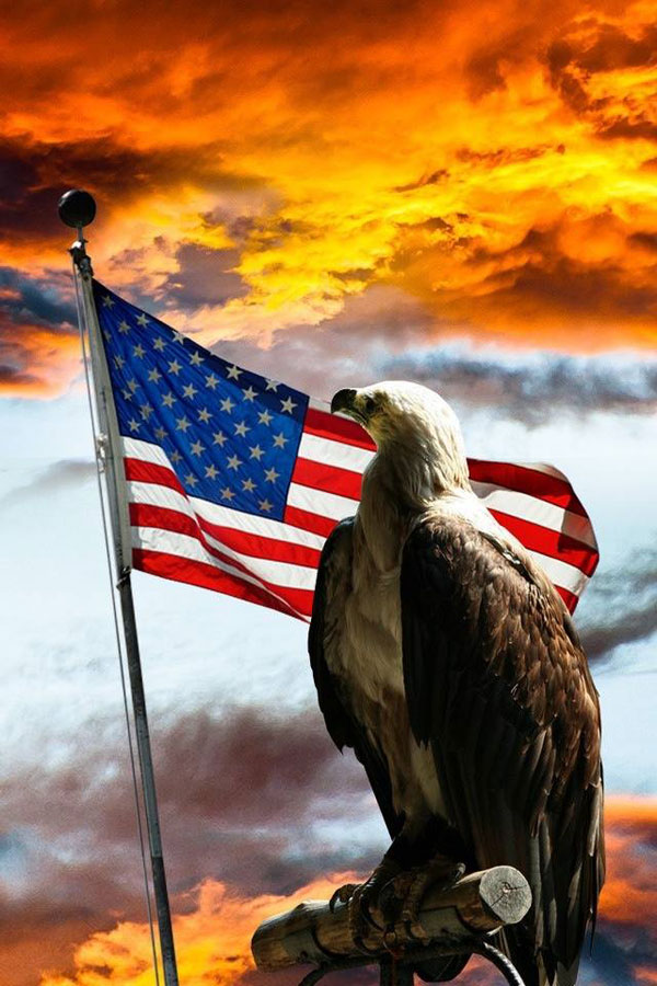 american flag and eagle