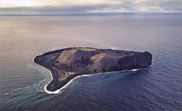 Surtsey, An Island In Iceland-Surtsey is a piece of land that formed in 1963, after a huge volcanic eruption that lasted for 3 years. Now, the land is only used for scientific research. The main focus of the work is to better understand how an ecosystem forms without any human impact. There are only a couple of scientists that are allowed on the island’s premises, making it one of a few forbidden places on earth. One of the main rules for scientists is not to bring any seeds with you. Well, someone did not pay close enough attention to this rule and pooped on some lava. After that, a tomato plant sprouted up on the island leaving the scientists truly mystified. After they realized the origin of the plant it was immediately destroyed, as it would disturb their scientific research.