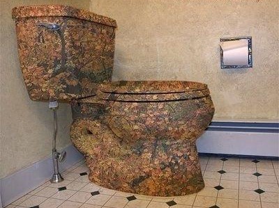 old fashioned toilet