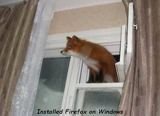 install firefox on windows - Installed Firefox on Windows