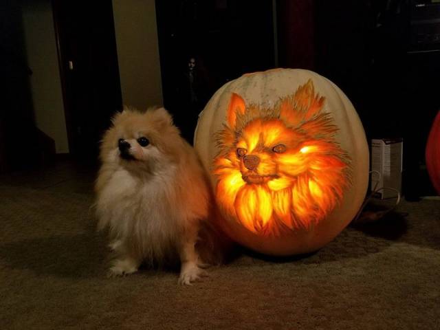 floof carved into to a pumpkin