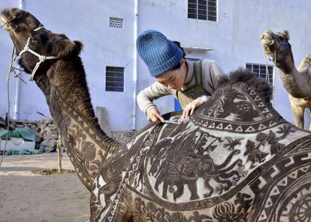 camel japanese hairdresser