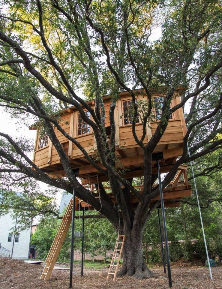 tree house ideas in live oaks -