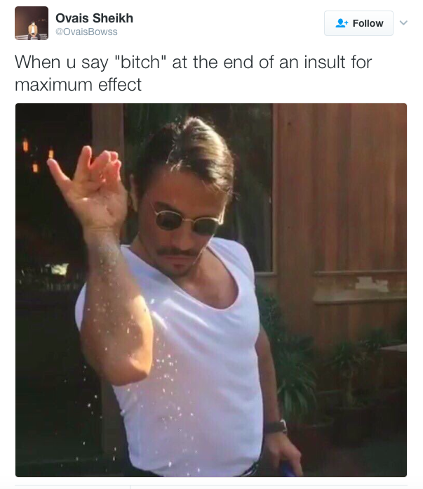 sprinkle chef meme - Ovais Sheikh Dows When u say "bitch" at the end of an insult for maximum effect