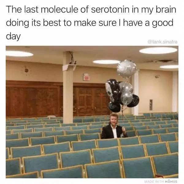 last serotonin meme - The last molecule of serotonin in my brain doing its best to make sure I have a good day sinatra Made With Momus