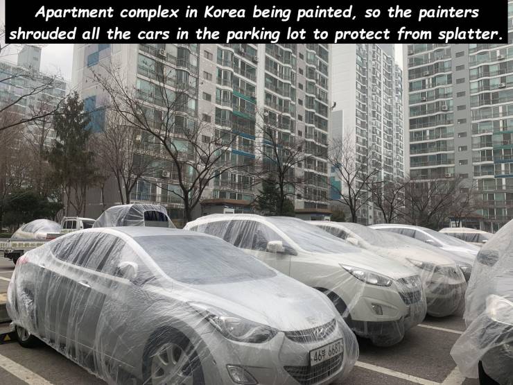 korean apartment building - Apartment complex in Korea being painted, so the painters shrouded all the cars in the parking lot to protect from splatter. 777777 Euzelenil 467 68