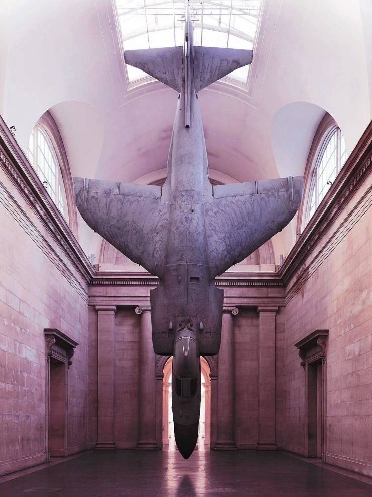 crazy monday pics of tate gallery, britain