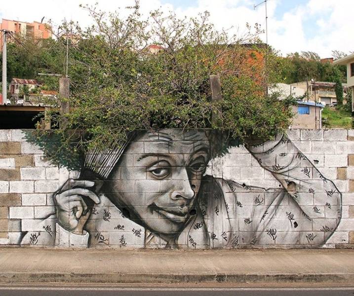 random pics - street art with trees