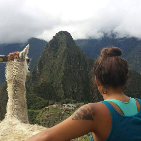 random pics - Machu Picchu