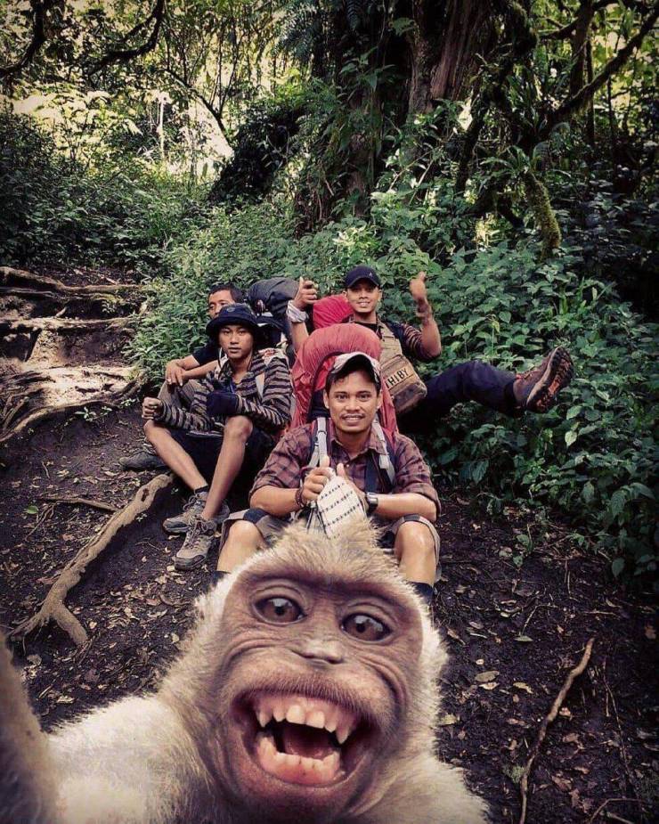 random monyet selfie