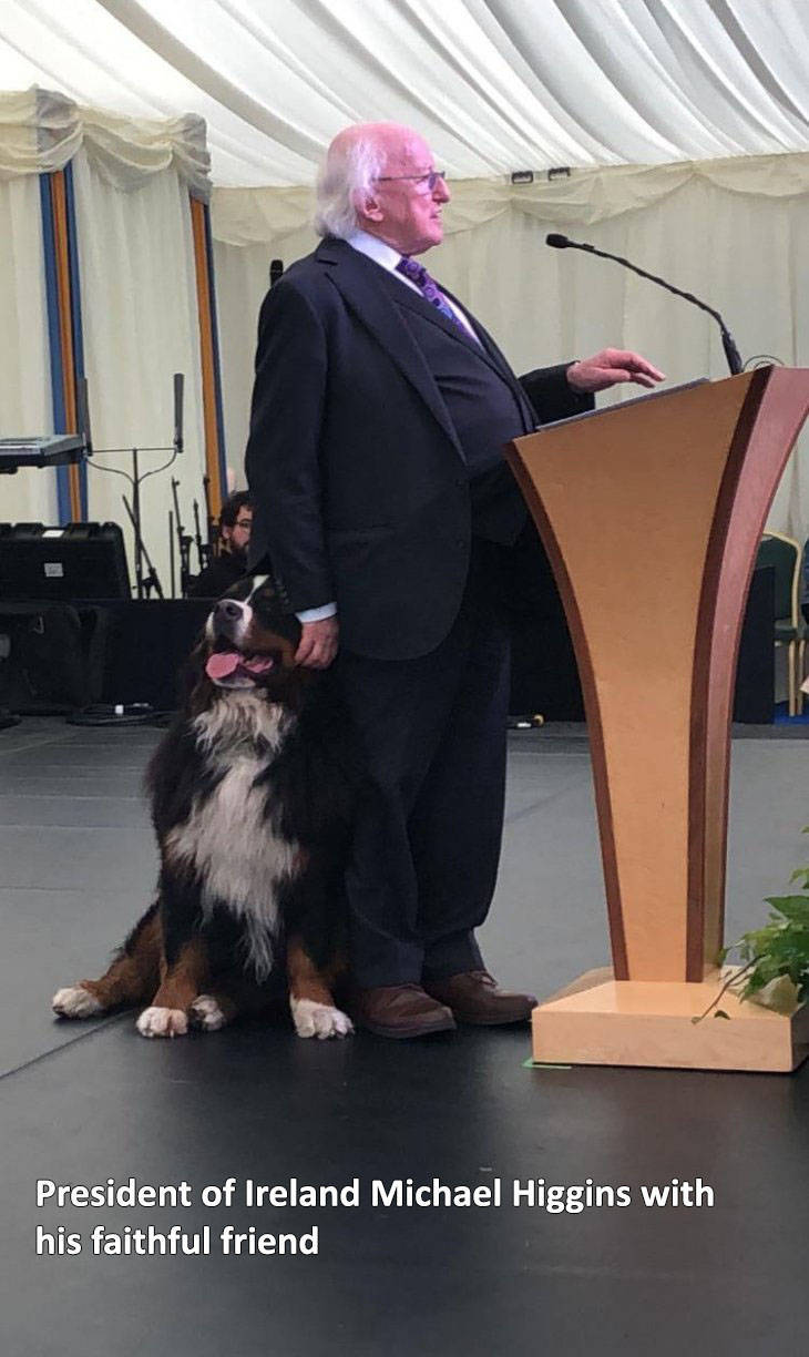 conformation show - President of Ireland Michael Higgins with his faithful friend