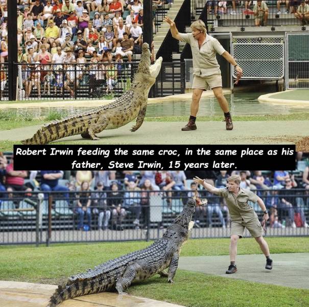 Steve Irwin - Robert Irwin feeding the same croc, in the same place as his father, Steve Irwin, 15 years later.