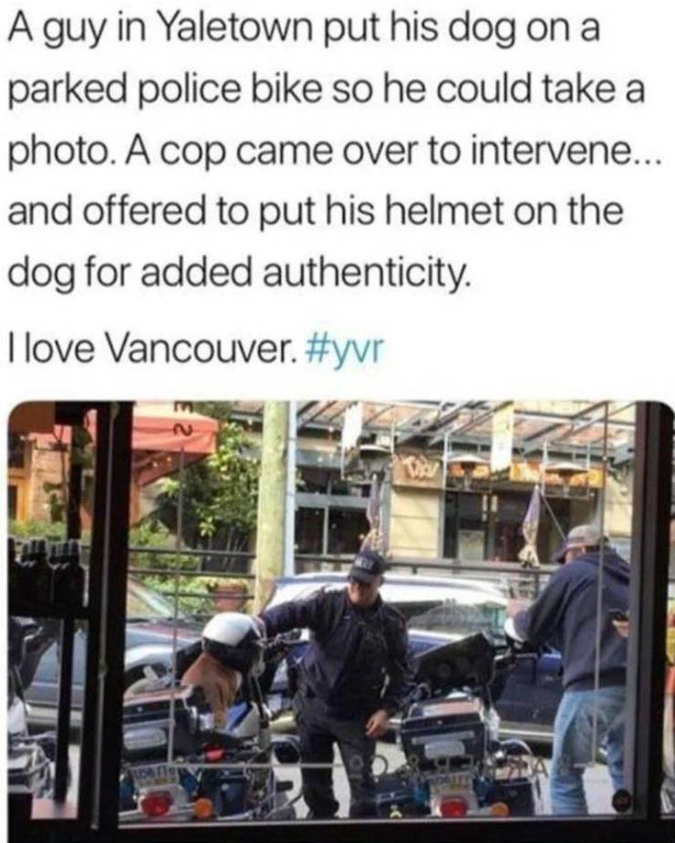 random pic restore faith in humanity - A guy in Yaletown put his dog on a parked police bike so he could take a photo. A cop came over to intervene... and offered to put his helmet on the dog for added authenticity. I love Vancouver.