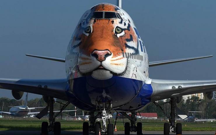 tiger airplane