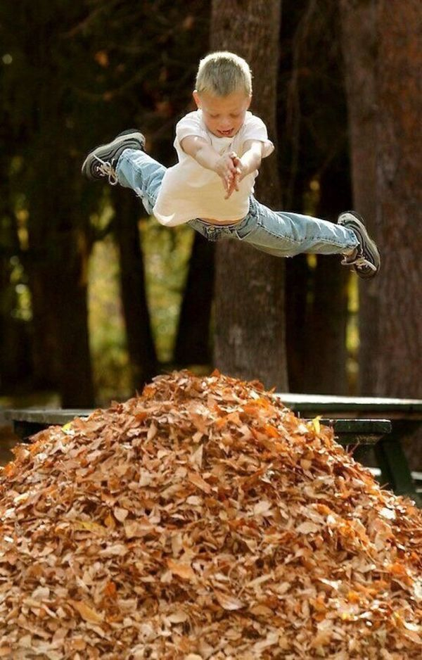 kids jumping in leaves