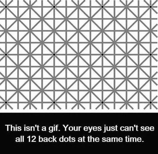 lines and dots optical illusion - This isn't a gif. Your eyes just can't see all 12 back dots at the same time.