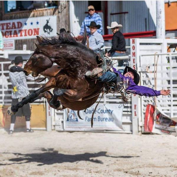 dade county rodeo - Tead Ciation El.Com Dade County Fat Bureau