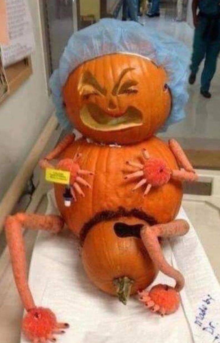 pumpkin giving birth