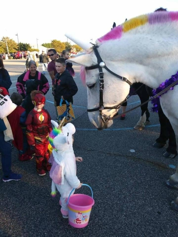 halloween costumes with horses