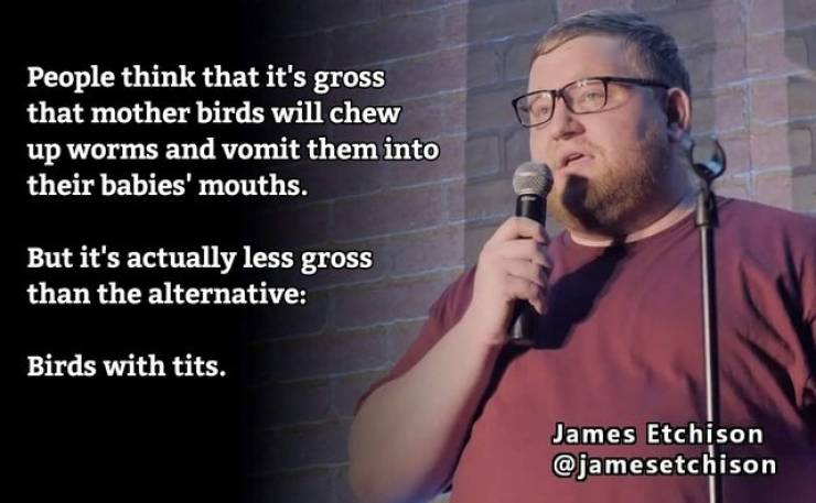 song - People think that it's gross that mother birds will chew up worms and vomit them into their babies' mouths. But it's actually less gross than the alternative Birds with tits. James Etchison