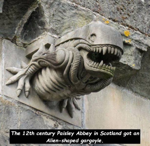 paisley alien gargoyle - The 12th century Paisley Abbey in Scotland got an Alienshaped gargoyle.