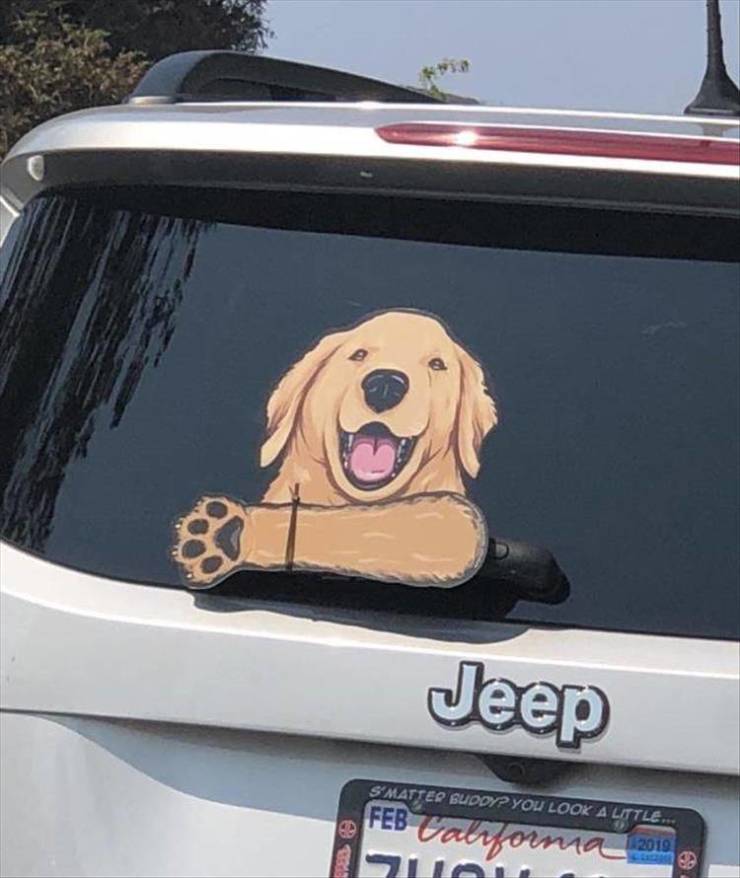 vehicle door - Jeep S Matter Guddy? You Look A Little, Feb varorna 2019 Al