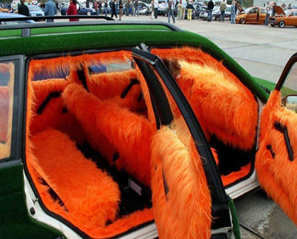 fur interior car