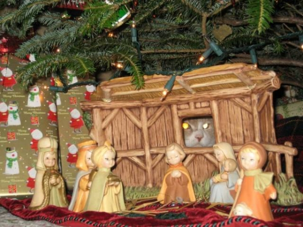 nativity scene