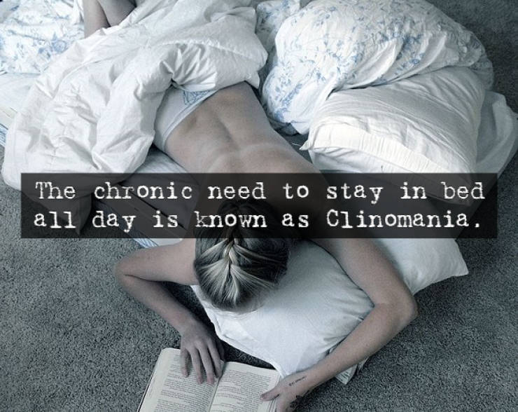 Book - The chronic need to stay in bed all day is known as Clinomania.