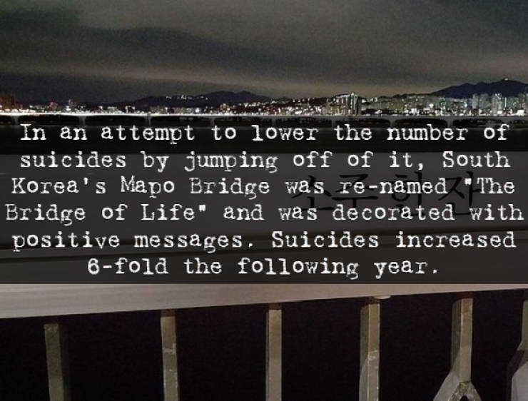 sky - In an attempt to lower the number of suicides by jumping off of it, South Korea's Mapo Bridge was renamed "The Bridge of Life" and was decorated with positive messages. Suicides increased Bfold the ing year.