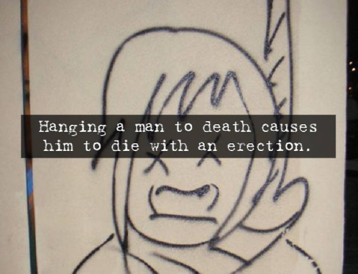 drawing - Hanging a man to death causes him to die with an erection.