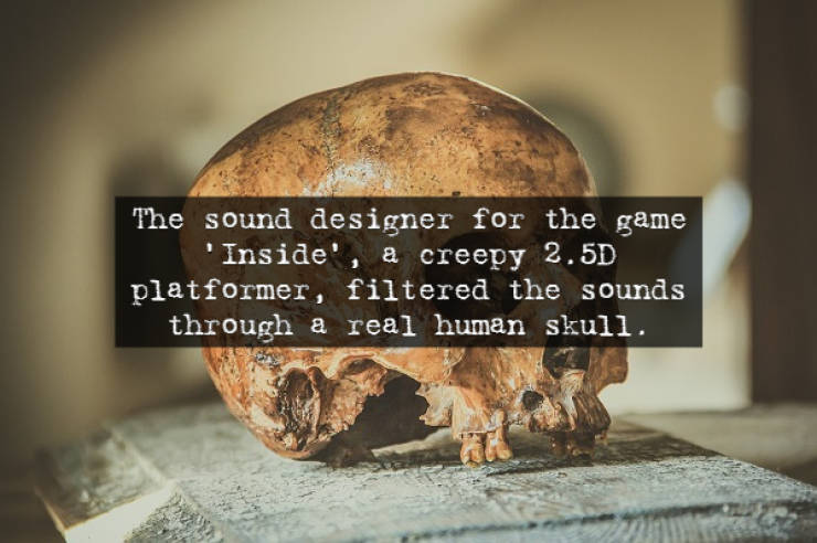 Skull - The sound designer for the game Inside', a creepy 2.5D platformer, filtered the sounds through a real human skull.