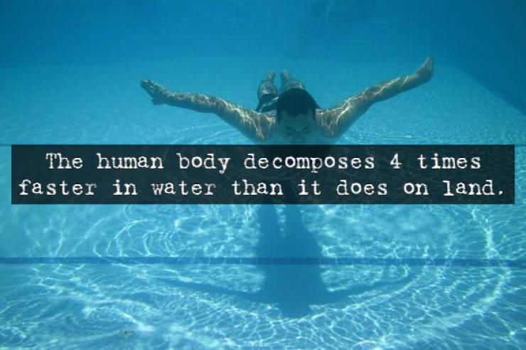pool swimming men - The human body de composes 4 times faster in water than it does on land.