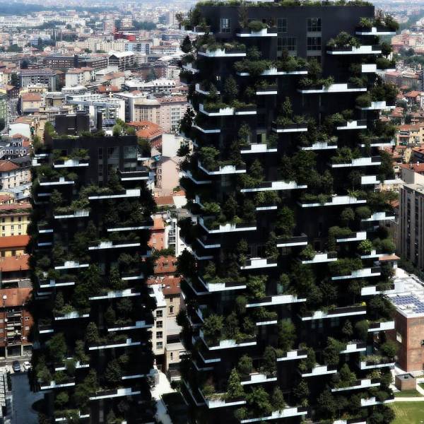vertical forest - 100 000 Title