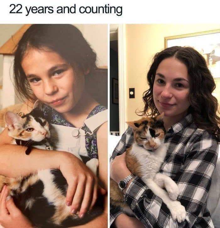 Cat - 22 years and counting