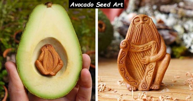 Avocado Seed Art