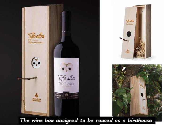 tyto alba companhia das lezirias - zyto alba Has Otrodas Tyto alba Companhia pas Conta The wine box designed to be reused as a birdhouse.