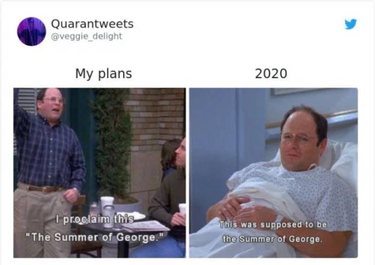my plans vs 2020 memes - Quarantweets My plans 2020 I proclaim this "The Summer of George." This was supposed to be the Summer of George.