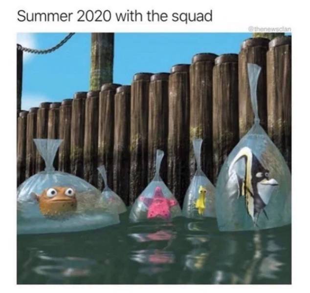 finding nemo fish in bags - Summer 2020 with the squad ethenewschan