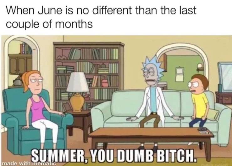 summer you dumb bitch - When June is no different than the last couple of months Summer, You Dumb Bitch. made with mematic