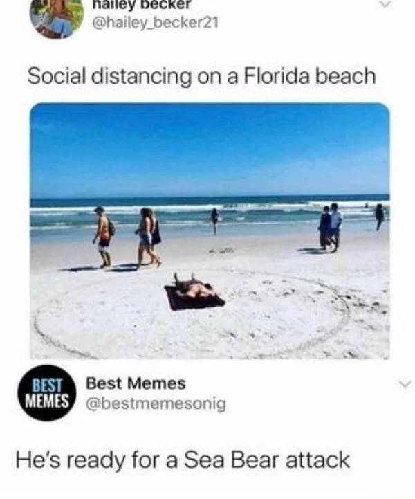 beach social distancing memes - nailey beckel Social distancing on a Florida beach Best Best Memes Memes He's ready for a Sea Bear attack