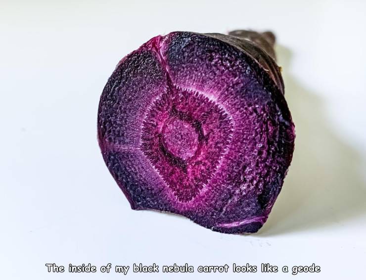 lilac - The inside of my black nebula carrot looks a geode
